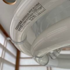 照明　ライト　蛍光灯　　無料の画像