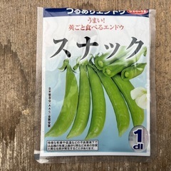 スナップエンドウ苗「スナック」の画像
