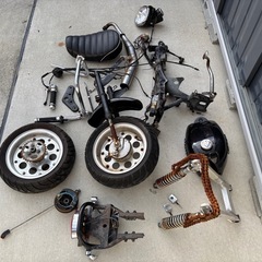 モンキーの画像