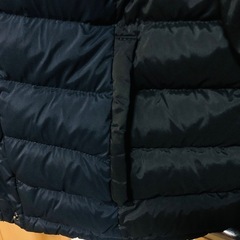 ユニクロダウンの画像