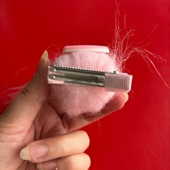 エスターバニーの画像