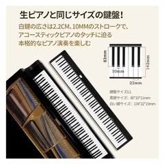 クリスマス限定一台✨TERENCE V30 88鍵盤 MIDI対応 電子ピアノの画像