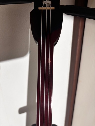 黒木の縞黒材三線n