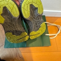 瞬足20.0センチ（記名なし）の画像