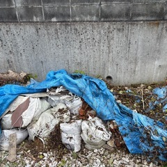 ガレキ類の画像