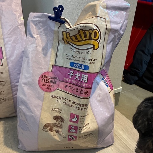Nutro  大型犬子犬用ごはん
