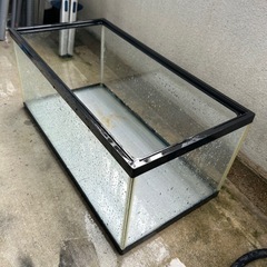 60センチロー水槽の画像