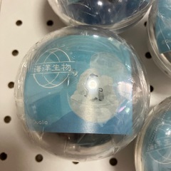 カプリウムコレクション海洋生物未開封中身みずらいので引き取りの際確認宜しくお願い致します。の画像