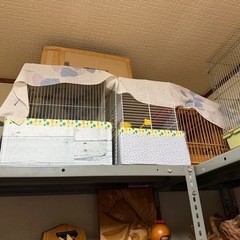 鳥籠、小動物のケージ9
個の画像