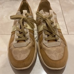 coachシューズの画像