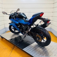 29508km ★始動動画あり★　カワサキ　ニンジャ250SL　BX250A 中型　兵庫県　神戸市　バイクの画像