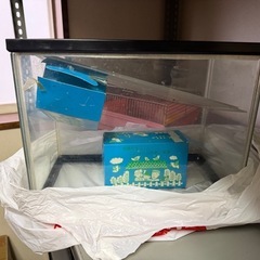 鳥籠、小動物のケージ9
個の画像