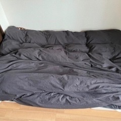 ニトリ　羽毛布団　セミダブル　掛布団の画像