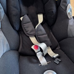 マキシコシ
の画像