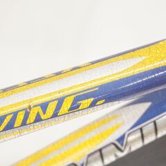 ASAHI CYBER GIMMICK 20インチ ジュニアマウンテンバイクの画像