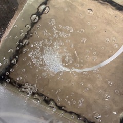 【動作確認済】中古品エアーポンプ(サイレントフォース2500S)の画像