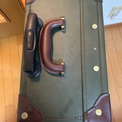 おしゃれキャリーバッグ
の画像