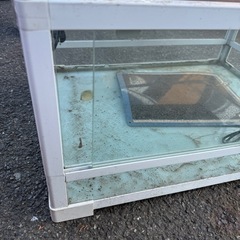 爬虫類用　ゲージの画像