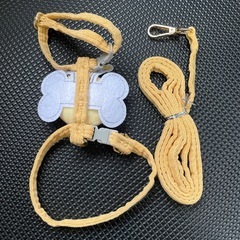 犬　はち　ハーネスリード の画像