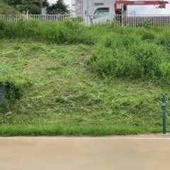 🌷マンション植栽管理　剪定資格者募集　日当13,000円～日払🌷の画像