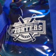 【未使用】日本ハムファイターズ　バックの画像