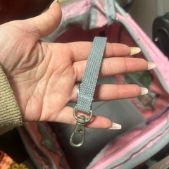 わんちゃん用ベビーカーの画像