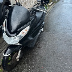 ホンダ　pcx125 jf28 バイク　オートバイ　スクーターの画像