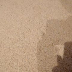 IKEA　カーペットの画像