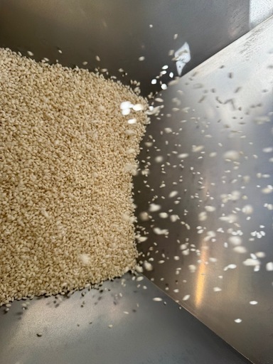 令和七年度厚木産もち米 精米5kg