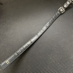 犬　首輪　の画像