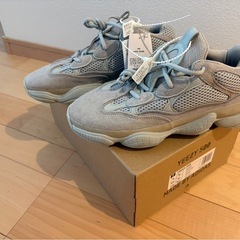 adidas Yeezy boost 500 SALTの画像