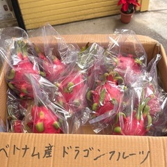 ドラゴンフルーツの画像