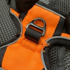 犬　ハーネス
の画像