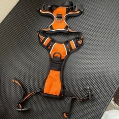 犬　ハーネス
の画像
