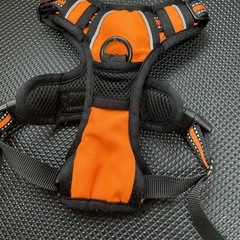 犬　ハーネス
の画像