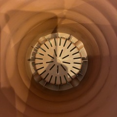 プラ鉢２個　大和プラスチック　21型5リットルと18型3リットル　植木鉢　プランター　◆取りに来てくださる方に無料で差し上げます◆の画像