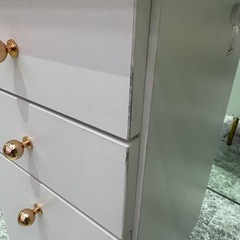 フランフランドレッサー（60000円相当）の画像