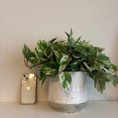 植木鉢付きはっぱ🌿フェイクグリーンの画像