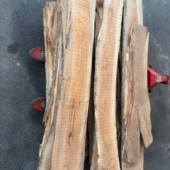 まとめ売り 
アカシア 粗挽き材 木工 アート制作 店舗内装 花器 DIY　薪の画像