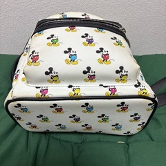 ディズニーリュックの画像