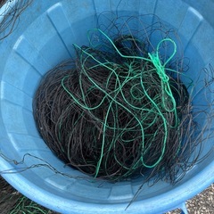 鳥獣ネットの画像