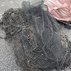 鳥獣ネットの画像