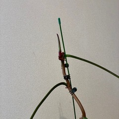 フィロデンドロン ジョーピーの画像