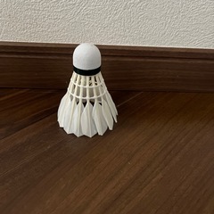 バドミントン　フェザーシャトルコック　練習用　1ダースの画像