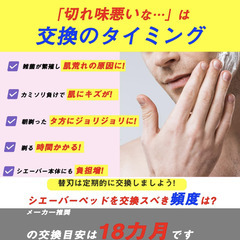 🪒【新品未使用】SDMOLO シリーズ3 替刃 F/C21B 互換品 メンズシェーバー替え刃 32B対応 ブラウン対応の画像