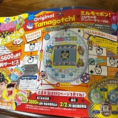 コロちゃお(ポケカなし)の画像