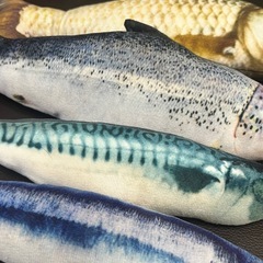 【ほぼ新品】ねこのおもちゃ　おさかなの画像