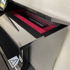 CASIO  GP-1000 ハイブリッドピアノ【2025年製】の画像