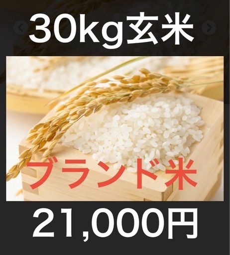 【新米】【値下げ！】令和7年度産お米30kg20,000円