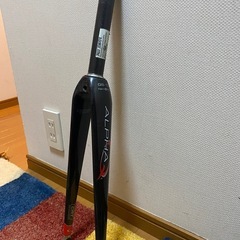 alpha Q GS-10 美品 フルカーボンフォークの画像
